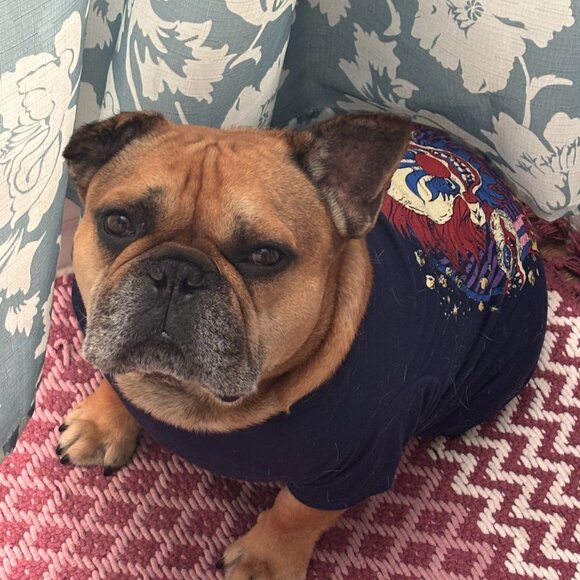 Dinkum - Picture 2 of 2